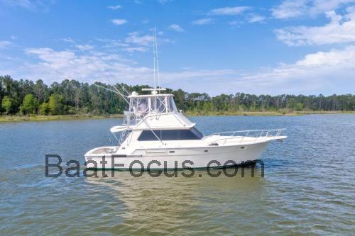 Bertram 42 Spesifikasjoner og anmeldelser